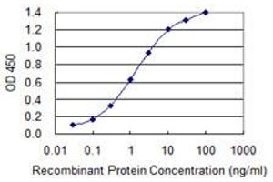 Detection limit for recombinant GST tagged DEPDC1B is 0. (DEPDC1B anticorps  (AA 430-529))