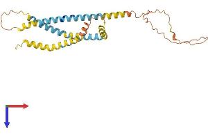 AlphaFold protein structure predicition of Human Recombinant SPATA9 Protein, UniprotID Q9BWV2