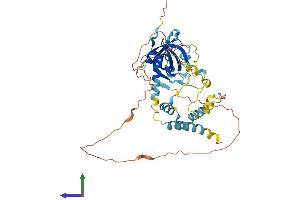 AlphaFold protein structure predicition of Mouse Recombinant Acd Protein, UniprotID Q5EE38