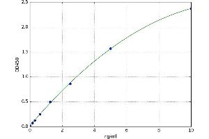 A typical standard curve