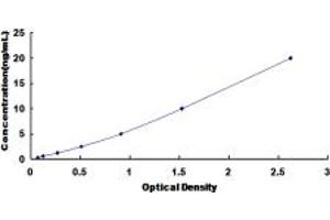 Typical standard curve (GLYT1 Kit ELISA)