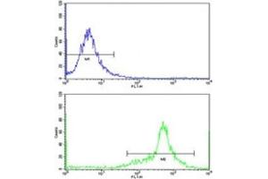 Flow cytometric analysis of WiDr cells using IGFBP6 antibody (green) compared to a negative control (blue).