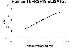 Human TNFRSF19/TROY PicoKine ELISA Kit standard curve