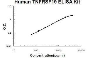 Human TNFRSF19/TROY PicoKine ELISA Kit standard curve (TNFRSF19 Kit ELISA)