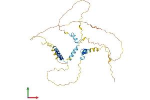 AlphaFold protein structure predicition of Human Recombinant FAM110C Protein, UniprotID Q1W6H9