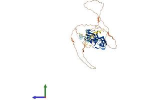 AlphaFold protein structure predicition of Mouse Recombinant Myot Protein, UniprotID Q9JIF9