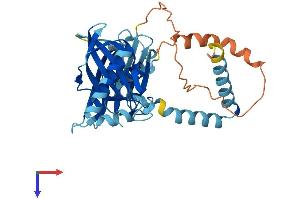 AlphaFold protein structure predicition of Mouse Recombinant Pih1d2 Protein, UniprotID Q8CHR9