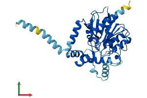 AlphaFold protein structure predicition of Mouse Recombinant Abhd6 Protein, UniprotID Q8R2Y0
