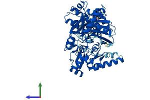 AlphaFold protein structure predicition of Mouse Recombinant Gk5 Protein, UniprotID Q8BX05