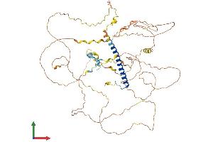 AlphaFold protein structure predicition of Human Recombinant CRTC3 Protein, UniprotID Q6UUV7