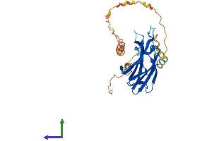 AlphaFold protein structure predicition of Mouse Recombinant Rims4 Protein, UniprotID P60191