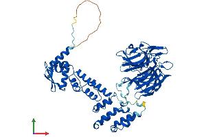 AlphaFold protein structure predicition of Mouse Recombinant Klhl2 Protein, UniprotID Q8JZP3