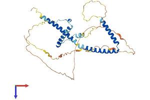 AlphaFold protein structure predicition of Human Recombinant HEXIM1 Protein, UniprotID O94992