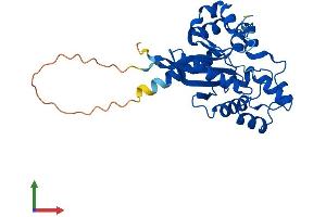 AlphaFold protein structure predicition of Human Recombinant NMNAT1 Protein, UniprotID Q9HAN9