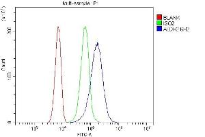 Flow Cytometry analysis of SiHa cells using anti-ALDH2 antibody (ABIN7603122). (ALDH2 anticorps  (N-Term))