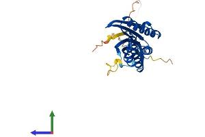 AlphaFold protein structure predicition of Human Recombinant IRAK1BP1 Protein, UniprotID Q5VVH5