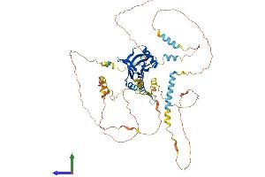 AlphaFold protein structure predicition of Mouse Recombinant Numbl Protein, UniprotID O08919