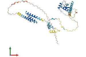 AlphaFold protein structure predicition of Human Recombinant NSMCE4A Protein, UniprotID Q9NXX6