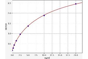 Typical standard curve