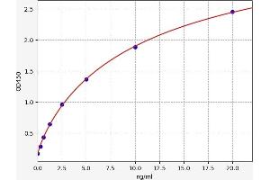 Typical standard curve (DIO3 Kit ELISA)