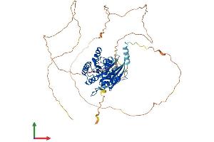 AlphaFold protein structure predicition of Human Recombinant SEPTIN9 Protein, UniprotID Q9UHD8