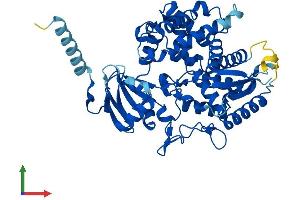 AlphaFold protein structure predicition of Mouse Recombinant Cyp7a1 Protein, UniprotID Q64505
