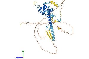 AlphaFold protein structure predicition of Human Recombinant SEC62 Protein, UniprotID Q99442