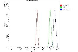 Flow Cytometry analysis of U20S cells using anti-SAP130 antibody (ABIN7601247). (SAP130 anticorps  (AA 309-913))