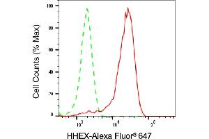 Flow cytometric analysis of HHEX expression in HeLa cells using HHEX antibody (ABIN7798882), 1:(ABIN7798691).