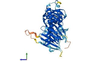 AlphaFold protein structure predicition of Human Recombinant FUZ Protein, UniprotID Q9BT04