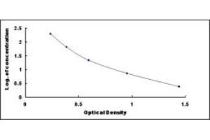 Typical standard curve (MT1M Kit ELISA)
