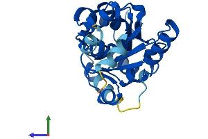 AlphaFold protein structure predicition of Mouse Recombinant Psph Protein, UniprotID Q99LS3