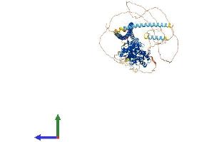 AlphaFold protein structure predicition of Human Recombinant PPFIBP2 Protein, UniprotID Q8ND30