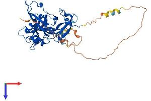 AlphaFold protein structure predicition of Human Recombinant HMCES Protein, UniprotID Q96FZ2
