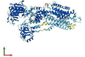AlphaFold protein structure predicition of Human Recombinant ATP2A1 Protein, UniprotID O14983