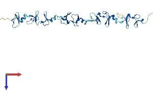 AlphaFold protein structure predicition of Mouse Recombinant Fhl5 Protein, UniprotID Q9WTX7
