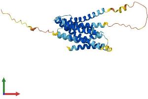 AlphaFold protein structure predicition of Mouse Recombinant Slc39a1 Protein, UniprotID Q9QZ03