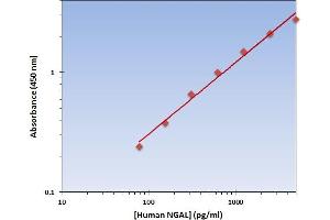 This is an example of what a typical standard curve will look like. (Lipocalin 2 Kit ELISA)