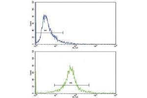 Flow cytometric analysis of 293 cells using CDC2 antibody (green) compared to a negative control (blue).