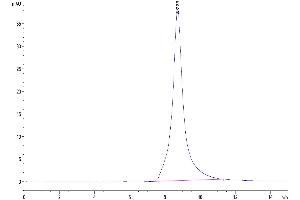 The purity of Mouse CD10 is greater than 95 % as determined by SEC-HPLC.