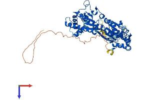 AlphaFold protein structure predicition of Human Recombinant PFKFB3 Protein, UniprotID Q16875