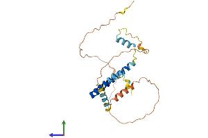 AlphaFold protein structure predicition of Human Recombinant EID2 Protein, UniprotID Q8N6I1