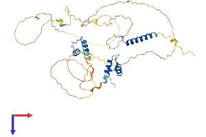 AlphaFold protein structure predicition of Human Recombinant TMPO Protein, UniprotID P42167