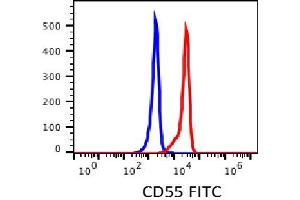 Flow Cytometry (FACS) image for anti-Complement Decay-Accelerating Factor (CD55) antibody (FITC) (ABIN3071833) (CD55 anticorps  (FITC))