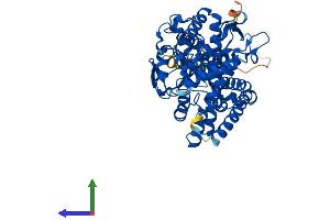 AlphaFold protein structure predicition of Human Recombinant CYP19A1 Protein, UniprotID P11511