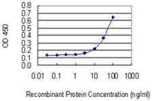 Detection limit for recombinant GST tagged PHACTR2 is 1 ng/ml as a capture antibody. (PHACTR2 anticorps  (AA 56-143))