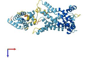 AlphaFold protein structure predicition of Mouse Recombinant Slc25a23 Protein, UniprotID Q6GQS1
