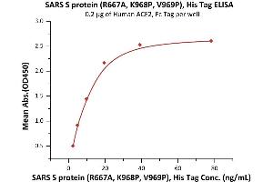Immobilized Human ACE2, Fc Tag (ABIN6952459,ABIN6952465) at 2 μg/mL (100 μL/well) can bind SARS S protein (R667A, K968P, V969P), His Tag (ABIN6973214) with a linear range of 2-20 ng/mL (Routinely tested).