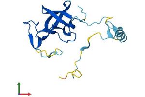 AlphaFold protein structure predicition of Human Recombinant ERVK-9 Protein, UniprotID P63127