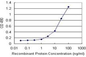 RNF181 (Human) Matched Antibody Pair